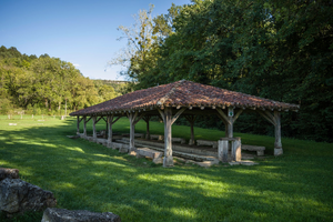 Traitement punaises de lit Bourg-en-Bresse